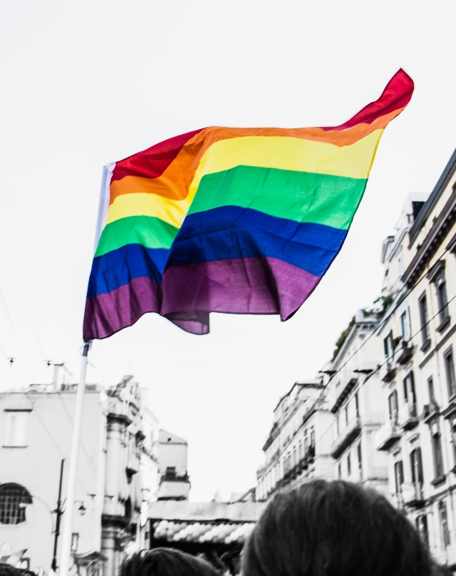 Color pride flag on black and white background