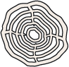 Wood Slice Icon