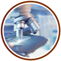 Microscope Closeup Photo