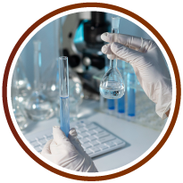 Hands Holding Scientific Glassware Photo