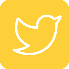 Social Icon Big