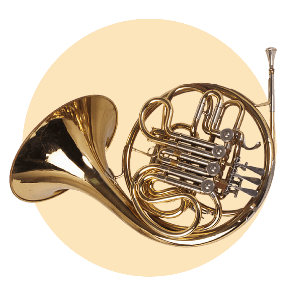 horn