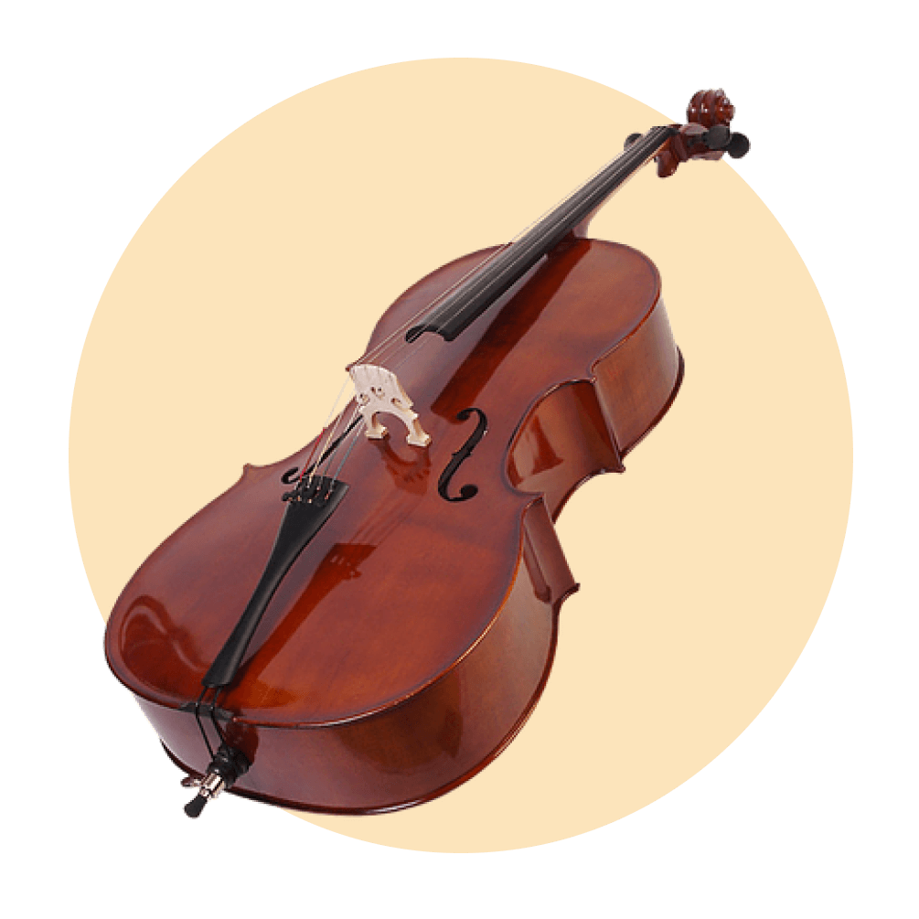 violin