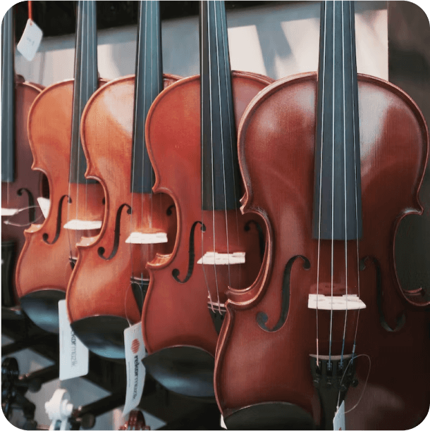 violins