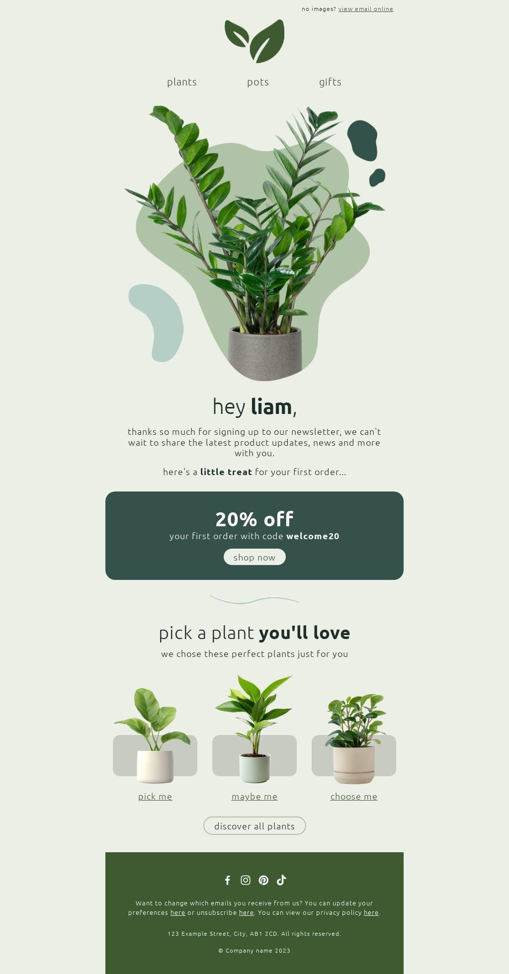 Stay in the Green with Our Blooming Newsletter!