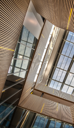 Wooden Interior of a Building