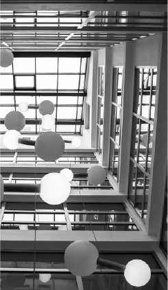 Black and White Windows Building