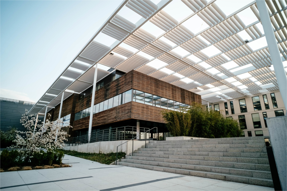 Modern Building with Wooden Wall