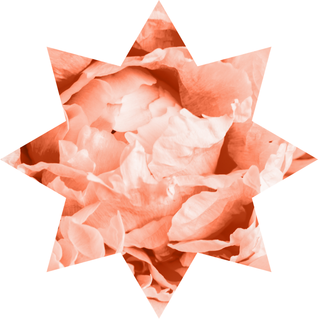 Follower color of the year