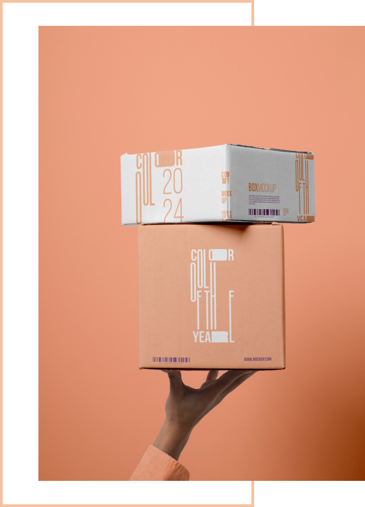 Boxes