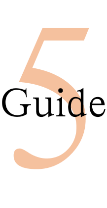 Guide Number