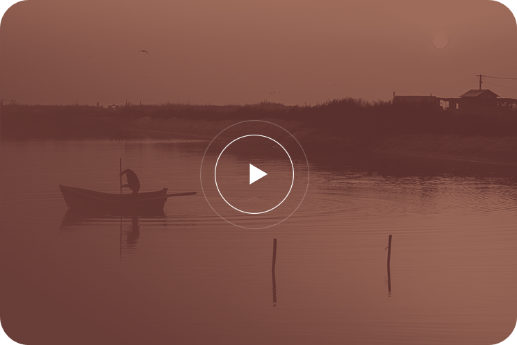 Video Color Of The Year