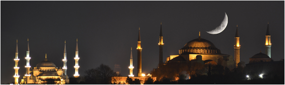 Mosque all together image