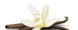 Footer Flower Image