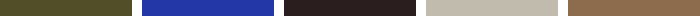Color Brand Image