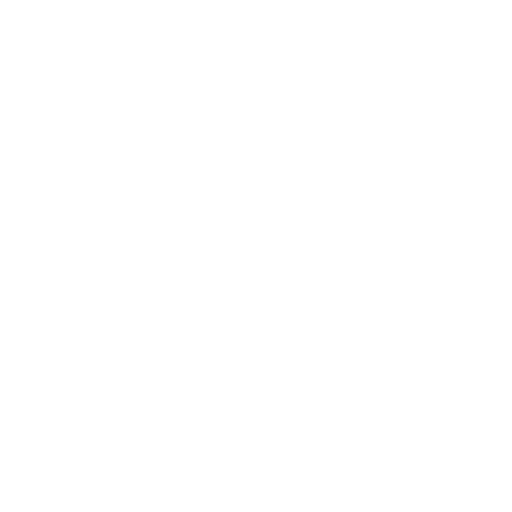 Bank Transfer