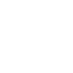 Sporting Challenges Icon