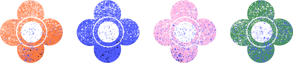 a close up of a flower