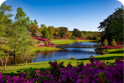 a bridge over a river surrounded by trees and flowers
