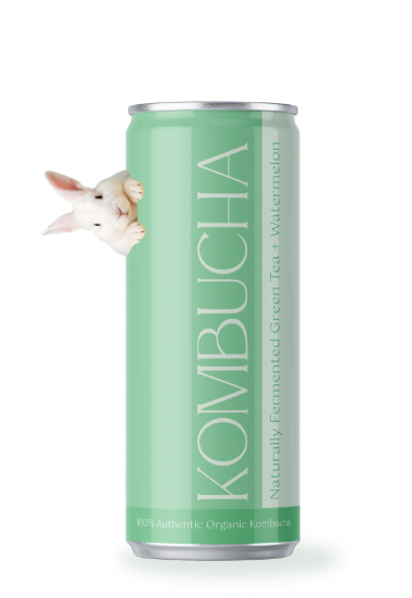 a white rabbit sticking its head out of a green can
