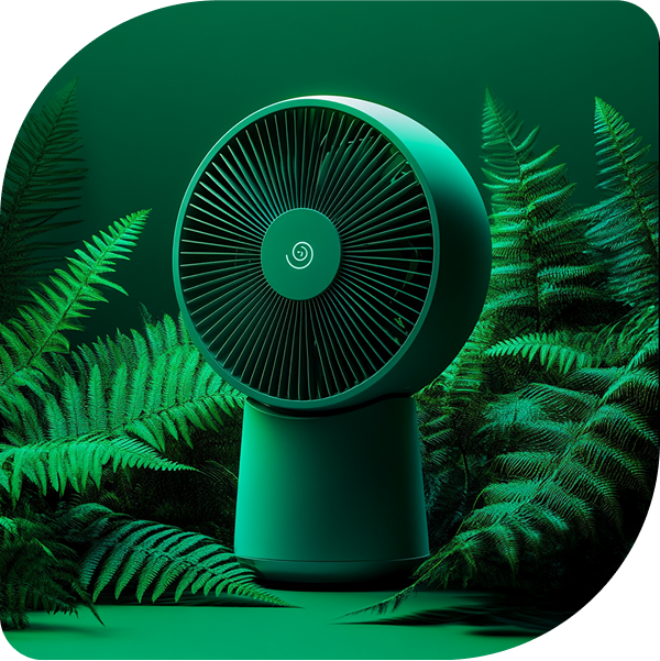 a fan in front of ferns