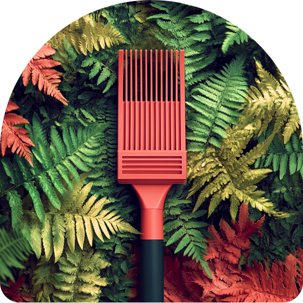 a red comb on a green plant