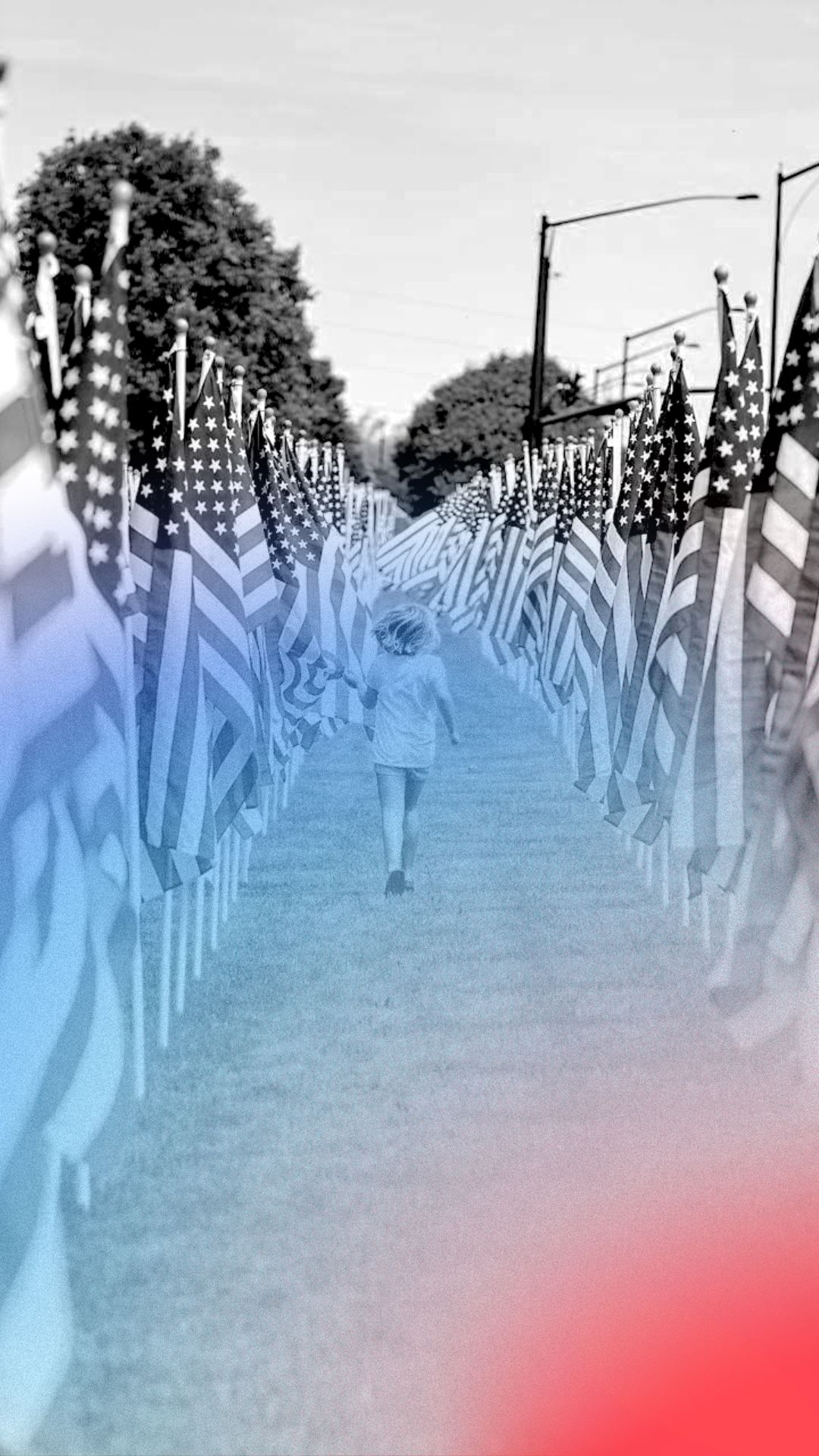 a child walking on a path with many american flags