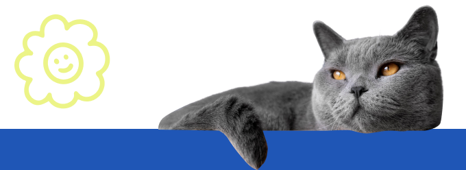 Footer Image