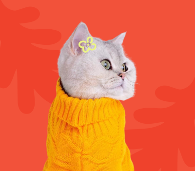 Product Photo