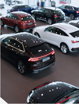 Car Collection Photo