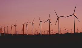 a group of wind turbines