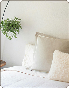 a plant next to a bed