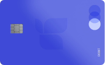 placeholder credit card